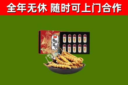 梅河口回收冬虫夏草价格