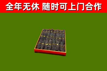 梅河口回收海参